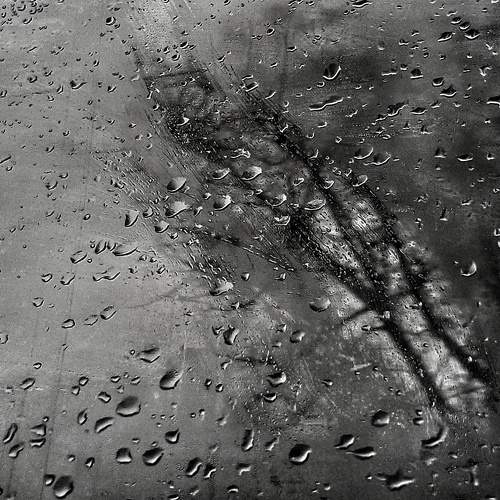 Photo #11701371