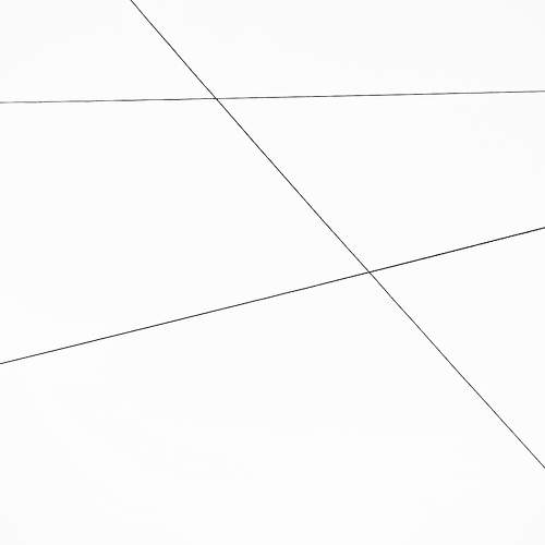 Photo #11701635