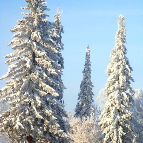Photo #11701716