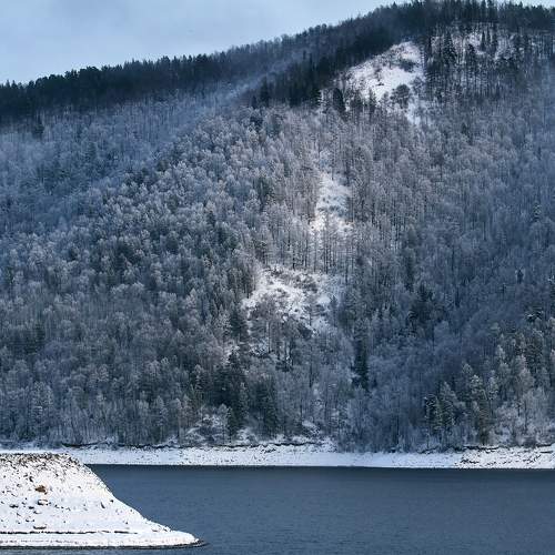 Photo #11701878
