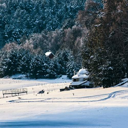 Photo #11701897