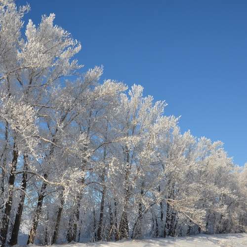 Photo #11701962
