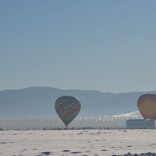 Photo #11701966