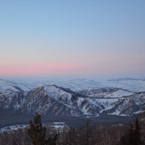 Photo #11701973