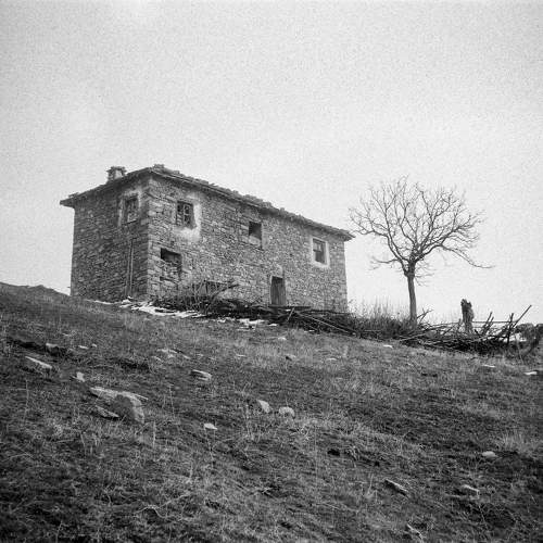 Film Mumdjidam hamlet