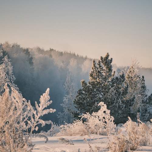 Photo #11702307