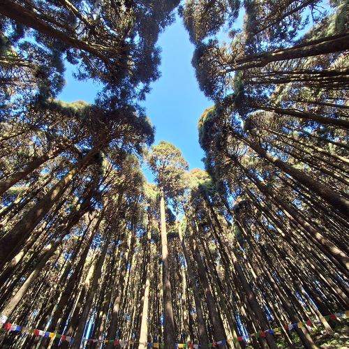 Photo #11702400