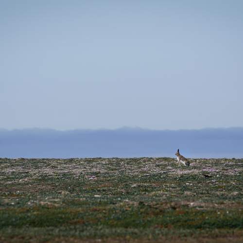 Photo #11702403