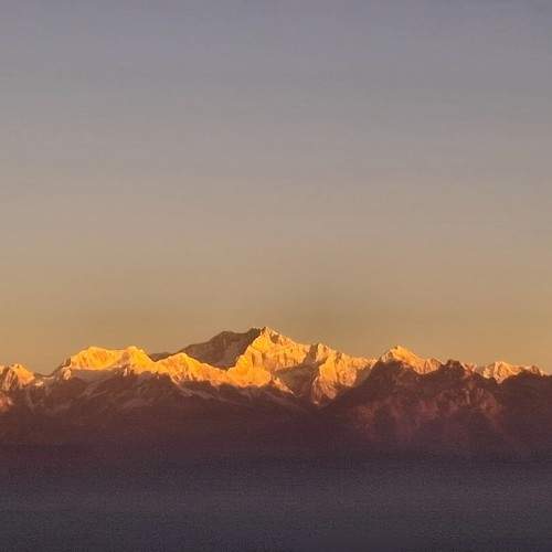 Photo #11702438