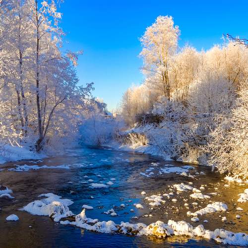 Photo #11702451