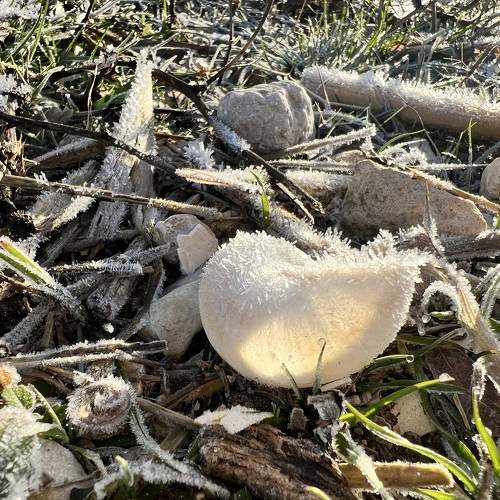 Photo #11702560