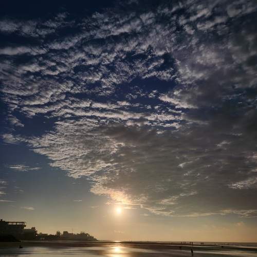Photo #11702580