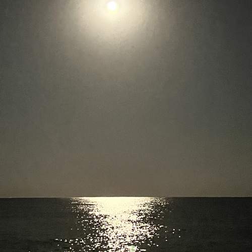 Photo #11702623