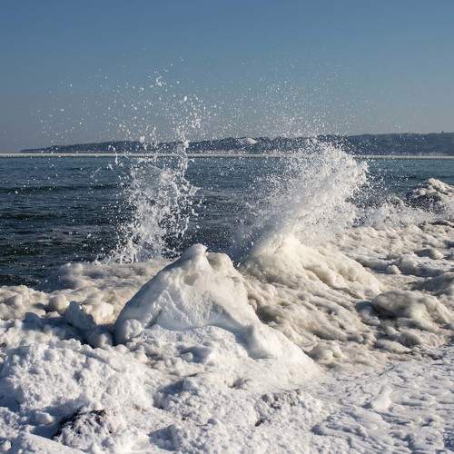 Photo #11702819