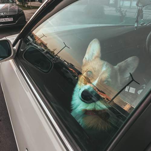 Photo #11702840