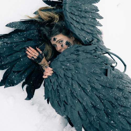 Photo #11702988