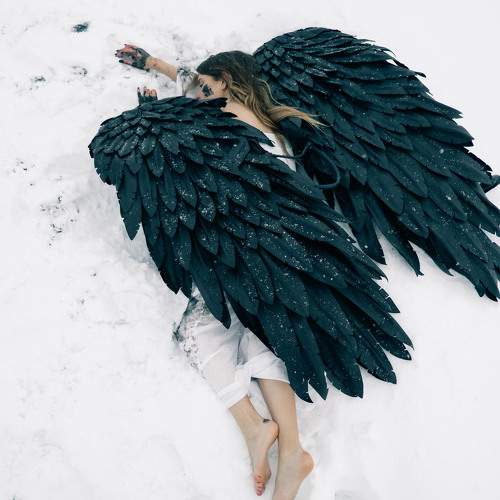 Photo #11702989