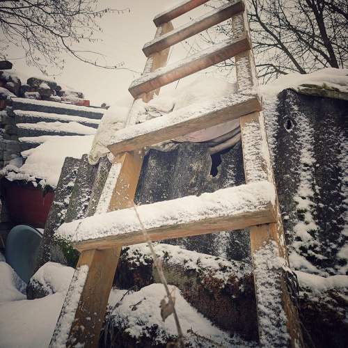 Photo #11703095