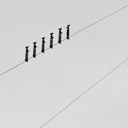 Photo #11703299