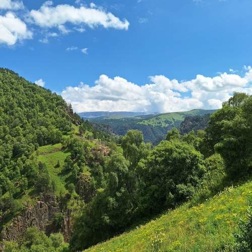 Photo #11703535