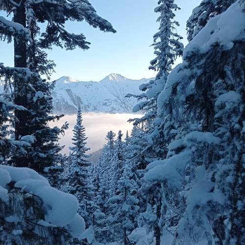 Photo #11703538