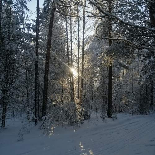 Photo #11703656