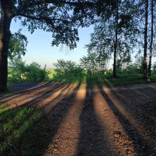Photo #11703661