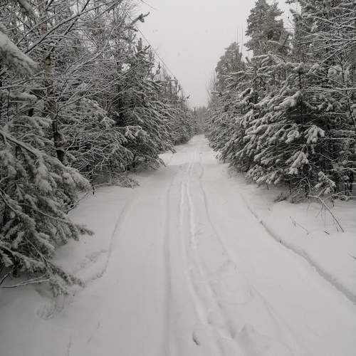 Photo #11703667