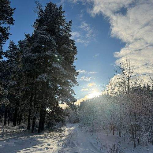 Photo #11703681