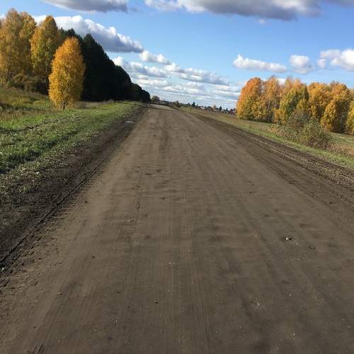 Photo #11703734