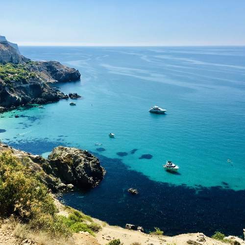 Photo #11703736
