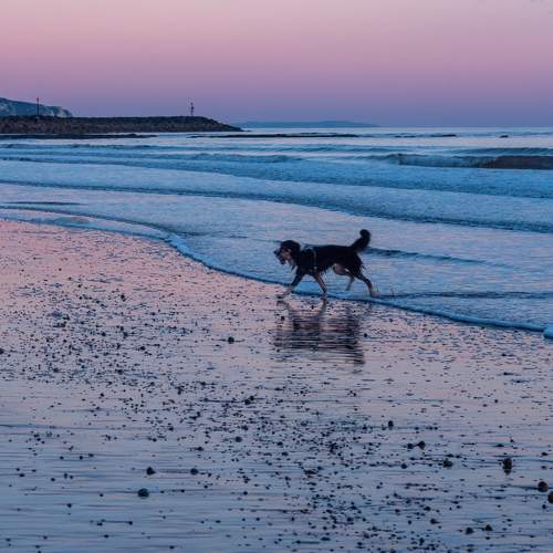 Photo #11703769