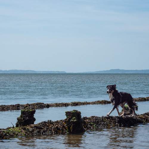 Photo #11703771