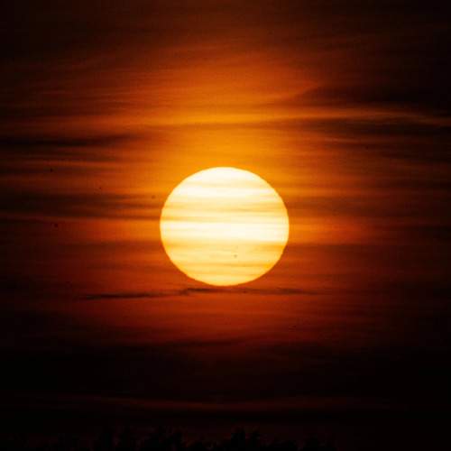 Photo #11703890