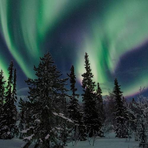 Photo #11703922