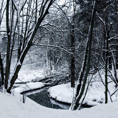 Photo #11704063