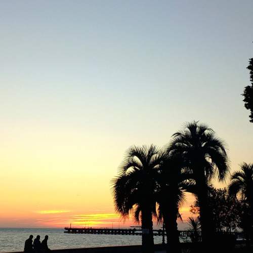 Photo #11704068