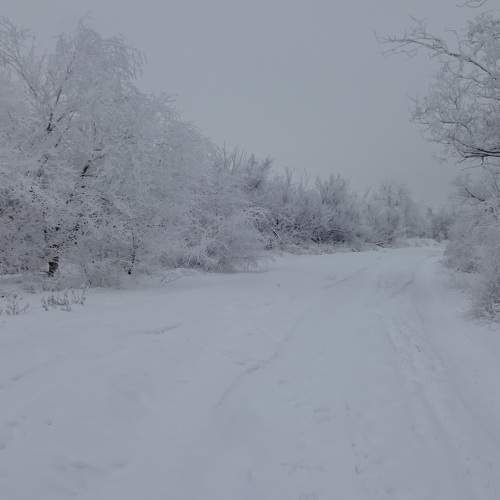 Photo #11704113