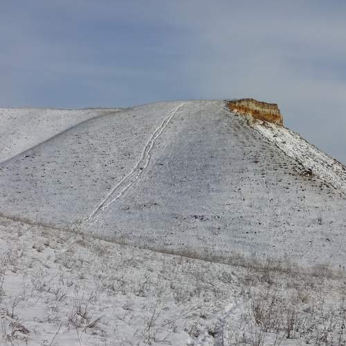 Photo #11704115