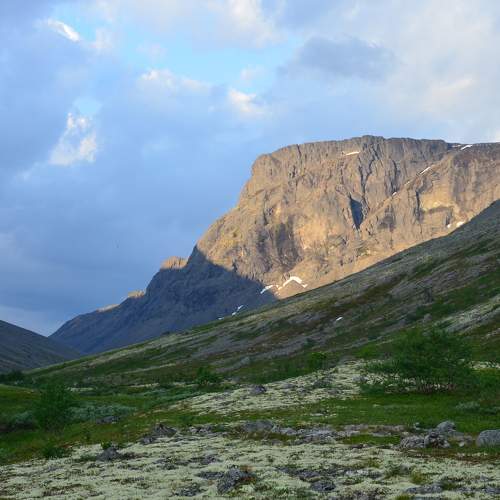 Photo #11704146