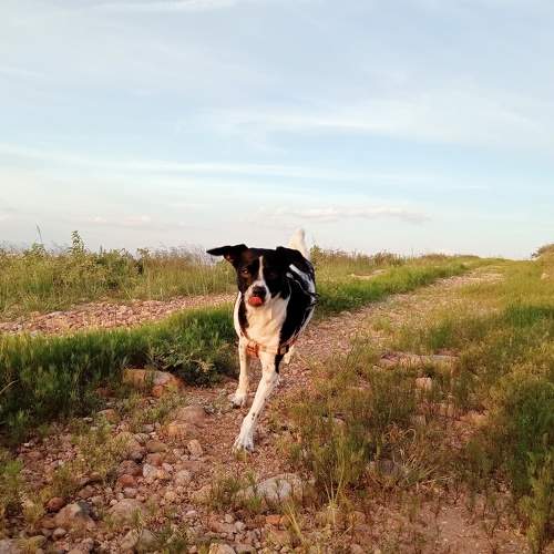 Photo #11704194