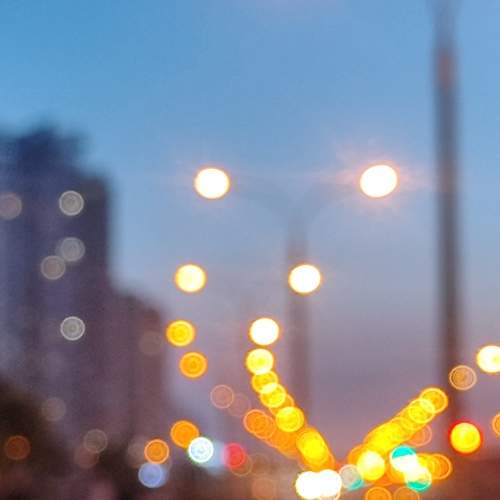 Photo #11704389
