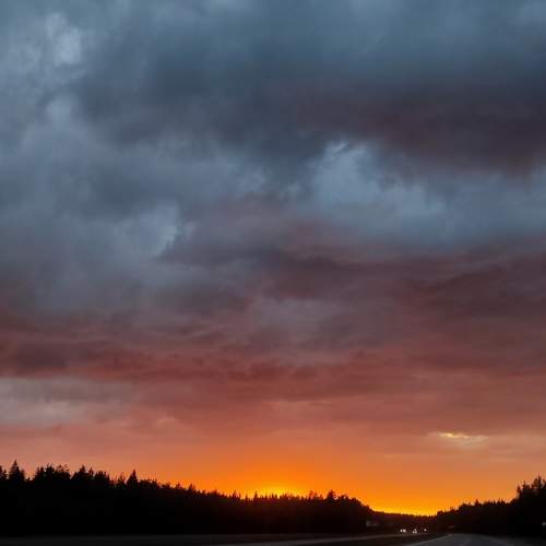 Photo #11704390