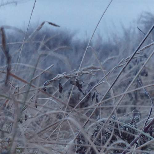 Photo #11704392