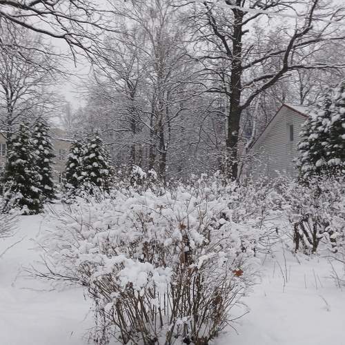 Photo #11704397
