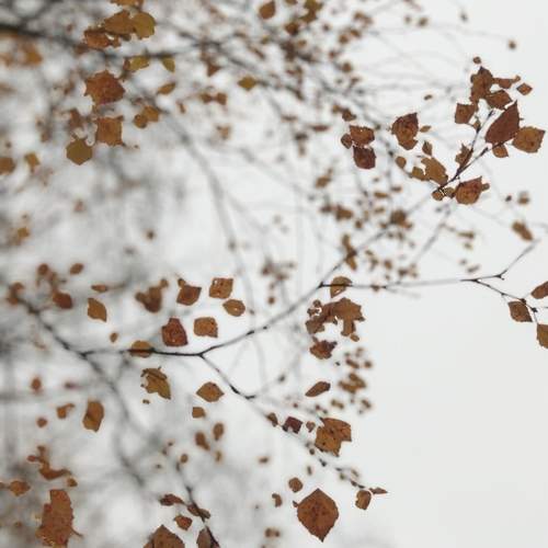 Photo #11704574