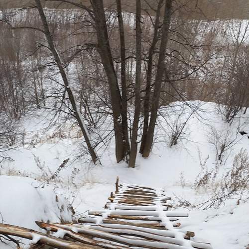 Photo #11704668