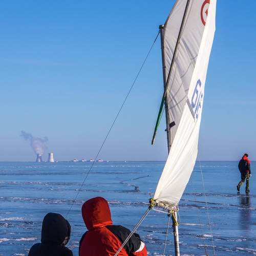 Photo #11704670