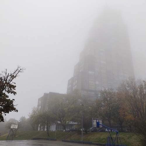 Photo #11705179