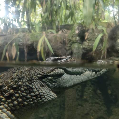 Photo #11705218